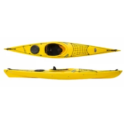 Rainbow Oasis 3.50 Young