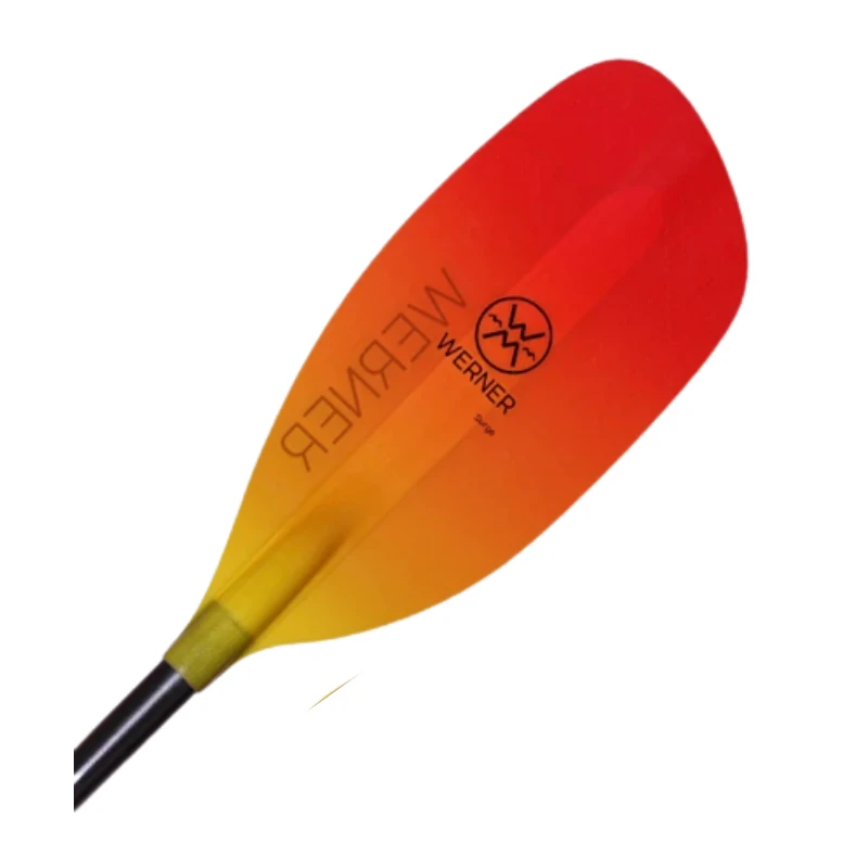 Werner Surge 1 Werner Surge